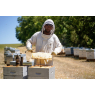 Lavender honey, 125 g - IGP Provence et Label Rouge